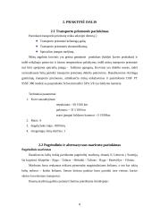 Krovinio vežimo organizavimas 6 puslapis