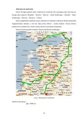 Krovinio vežimo organizavimas 8 puslapis