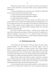 Darbuotojų motyvacijos sistemos analizė : UAB "Vilkma" 11 puslapis