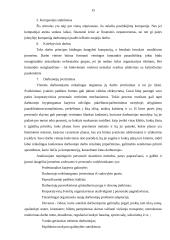 Darbuotojų motyvacijos sistemos analizė : UAB "Vilkma" 15 puslapis