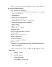 Krovinių gabenimas geležinkelių transportu 19 puslapis