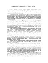 Krovinių gabenimas geležinkelių transportu 6 puslapis