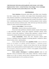 Elektroninės prekybos galimybių raida Lietuvoje 2 puslapis