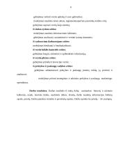 Elektroninės prekybos galimybių raida Lietuvoje 6 puslapis