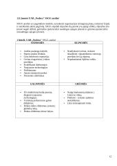 Krovinių vežimų organizavimas kelių transportu tarptautinias maršrutais: UAB "Nodora" 12 puslapis