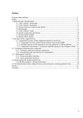 Krovinių vežimų organizavimas kelių transportu tarptautinias maršrutais: UAB "Nodora" 3 puslapis