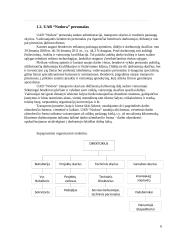 Krovinių vežimų organizavimas kelių transportu tarptautinias maršrutais: UAB "Nodora" 6 puslapis