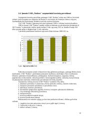 Krovinių vežimų organizavimas kelių transportu tarptautinias maršrutais: UAB "Nodora" 10 puslapis