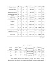 Elektros tinklų renovacija 13 puslapis