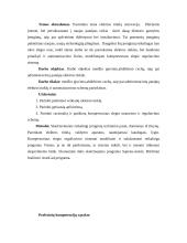 Elektros tinklų renovacija 2 puslapis