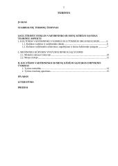 Kultūros vadybininko ir menų kūrėjo sąveika 2 puslapis