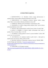 Kultūros vadybininko ir menų kūrėjo sąveika 18 puslapis