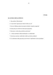 Kultūros vadybininko ir menų kūrėjo sąveika 20 puslapis