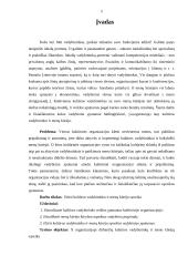 Kultūros vadybininko ir menų kūrėjo sąveika 3 puslapis