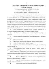 Kultūros vadybininko ir menų kūrėjo sąveika 6 puslapis