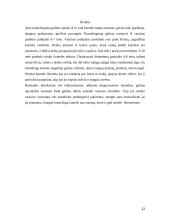 Kumelės klinikiniai laboratoriniai nėštumo nustatymo metodai 12 puslapis