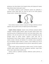 Kumelės klinikiniai laboratoriniai nėštumo nustatymo metodai 4 puslapis