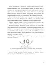 Kumelės klinikiniai laboratoriniai nėštumo nustatymo metodai 7 puslapis