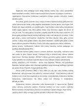 Ikimokyklinio amžiaus vaikų meninės raiškos ugdymas draminėje veikloje 17 puslapis