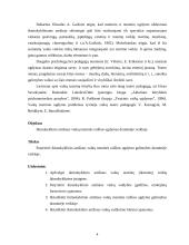 Ikimokyklinio amžiaus vaikų meninės raiškos ugdymas draminėje veikloje 4 puslapis