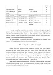 Įmonės marketingo strategija: leidykla IĮ "Ramona" 11 puslapis