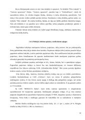 Įmonės marketingo strategija: leidykla IĮ "Ramona" 14 puslapis