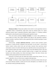 Įmonės marketingo strategija: leidykla IĮ "Ramona" 20 puslapis