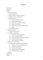 Įmonės marketingo strategija: leidykla IĮ "Ramona" 3 puslapis