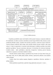 Įmonės marketingo strategija: leidykla IĮ "Ramona" 7 puslapis