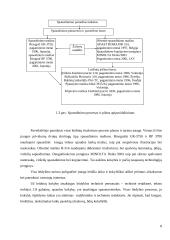 Įmonės marketingo strategija: leidykla IĮ "Ramona" 8 puslapis