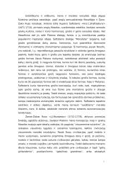 Kūrybinė laisvė ir menininko atsakomybė 7 puslapis