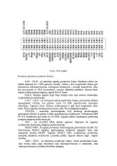 Kvadratinės formos signalo generatorius 9 puslapis