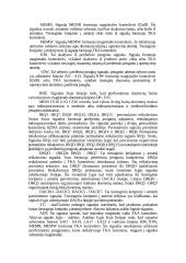 Kvadratinės formos signalo generatorius 10 puslapis