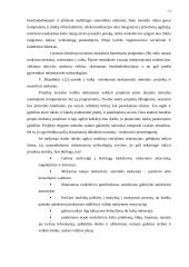 Informacinių technologijų ugdymo ypatumai popamokinėje veikloje 11 puslapis