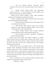 Informacinių technologijų ugdymo ypatumai popamokinėje veikloje 12 puslapis