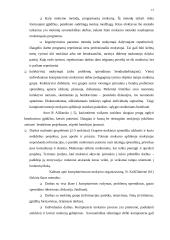 Informacinių technologijų ugdymo ypatumai popamokinėje veikloje 13 puslapis