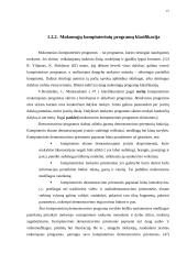 Informacinių technologijų ugdymo ypatumai popamokinėje veikloje 15 puslapis