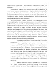 Informacinių technologijų ugdymo ypatumai popamokinėje veikloje 17 puslapis