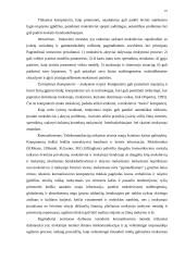 Informacinių technologijų ugdymo ypatumai popamokinėje veikloje 10 puslapis