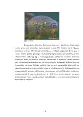 Latakinio pertvarinio slenkstinio žuvitakio projektavimas 4 puslapis