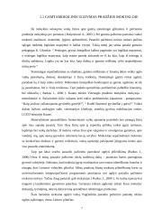 Jaunesniojo mokyklinio amžiaus vaikų supažindinimo su gyvąja gamta formos 7 puslapis