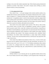 Lazeriai ir jų taikymas 13 puslapis