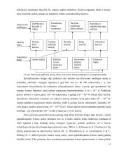 Lazeriai ir jų taikymas 14 puslapis