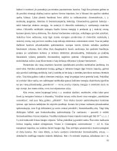 Lazeriai ir jų taikymas 16 puslapis