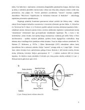Lazeriai ir jų taikymas 6 puslapis