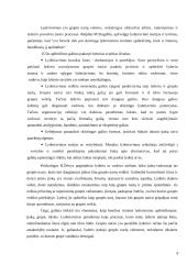 Lyderio vaidmuo komandoje 4 puslapis