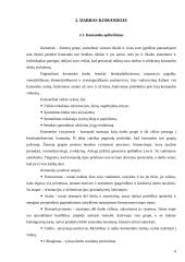 Lyderio vaidmuo komandoje 6 puslapis