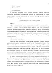 Komandinio darbo reikšmė: VŠĮ "Kretingos muziejus" 17 puslapis