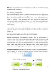 Lietuvos finansų rinka: problemos, pokyčiai ir tendencijos 13 puslapis
