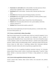 Lietuvos finansų rinka: problemos, pokyčiai ir tendencijos 20 puslapis